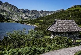 House with wooden roof