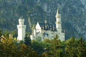 Neuschwanstein castle among the trees