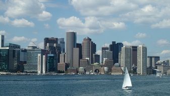 skyscrapers in the port city