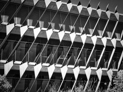 Contemporary Exterior Windows