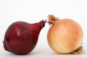 Close-up of the two colorful onions at white background