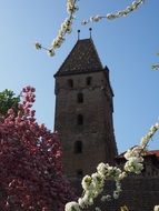 old historical tower Metzgerturm