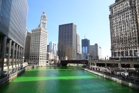 chicago river with green color of water in the St. Patrick's Day