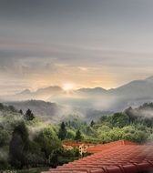 Garden House Villa