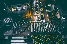 City Crossing Traffic