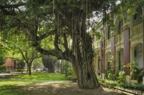 Landscape of National Cheng Kung University