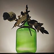 Bottle Flowers Dry