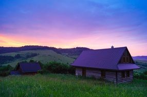 purple Nature Sunset