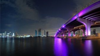 miami in colorful night lights