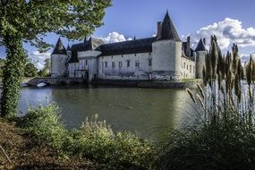 Royal medieval castle by the lake in France
