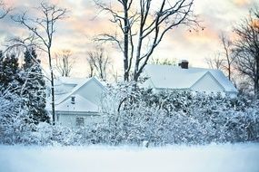 houses in a winter snow tale