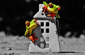 cute sweet frogs