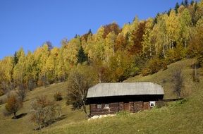 Log cabine on the mountains