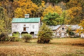 house and barn amidst a bright autumn landscape