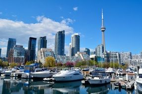 panoramic view of harbor in toronto on a sunny day