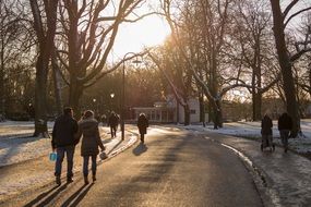 walking people in park in winter