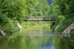 wooden bridge over the river