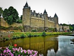 medieval castle near the pond