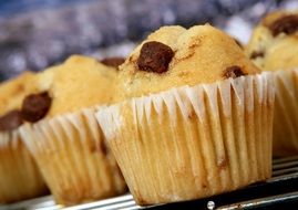 muffins with chocolate