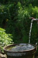 water from the tap