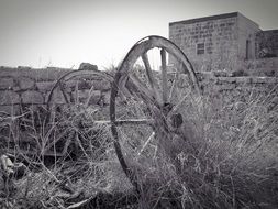 Black and white photo of the cart on the farm