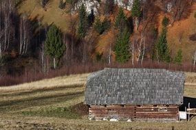 wooden Cabin in Mountains at Fall