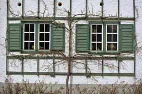 amazing Old Historically house