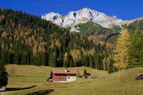 hut on the background of dense green forest and Alpine mountains