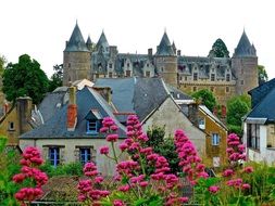 Flowers Chateau France