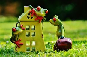 Frog with a suitcase near the house