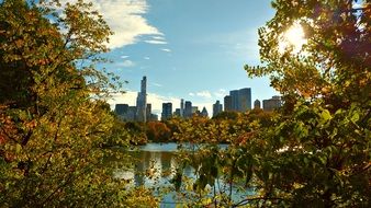 view from central park with colorful plants near the water to New York