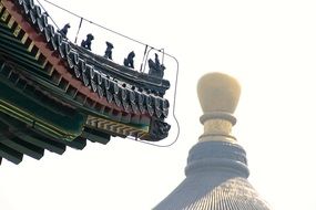 roof of China dragon architecture