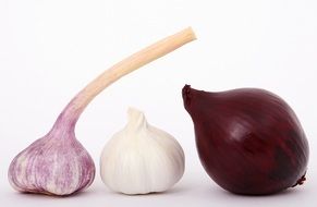 onion and garlic on white background