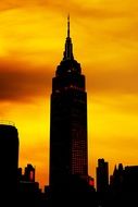 skyscraper on a background of a sunset in New York