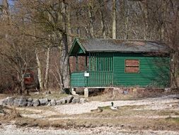 green log cabin