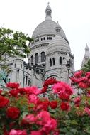 monmartre in bright flowers