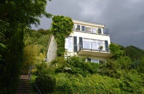 house is buried in green thickets