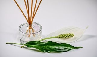 vase with incense sticks near the flower