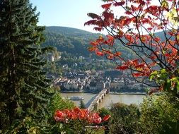 view of the historic city in Heidelberg