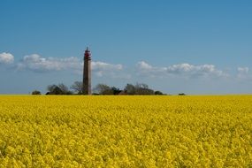 lighthouse behind the yellow field