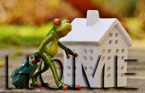 Funny Frog Arrives to Home, toy still life