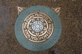 beautiful manhole cover in london