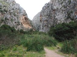 big boulders in green grass