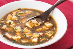 tofu with sauce in the plate on the table