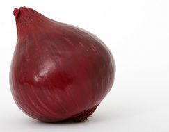 red onion bulb closeup