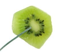 a piece of green kiwi