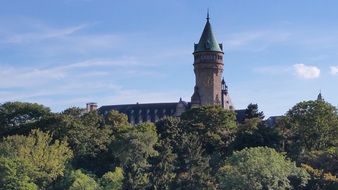 Luxembourg castle among the plants