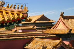 a dragon on the roof in the Forbidden City