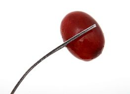 cocktail stick with a fruit on a white background