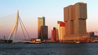 Port to the Big City Rotterdam